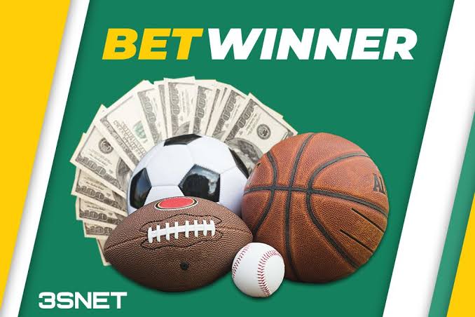 BetWinner Gambling Platform Your Complete Guide to Betting and Gaming