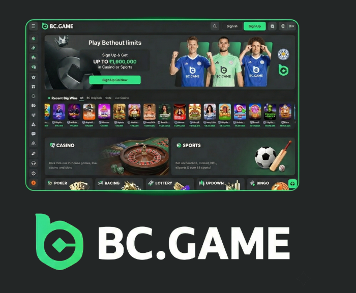 Experience the Thrill of BC.Game Online Casino in Spain -386538791